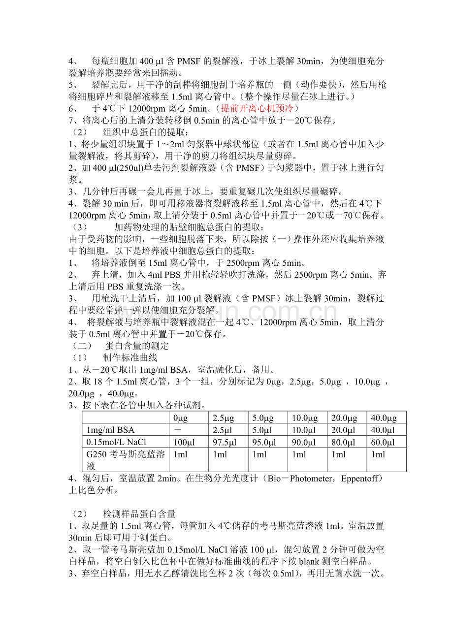 细胞中蛋白提取及含量测定.doc_第2页