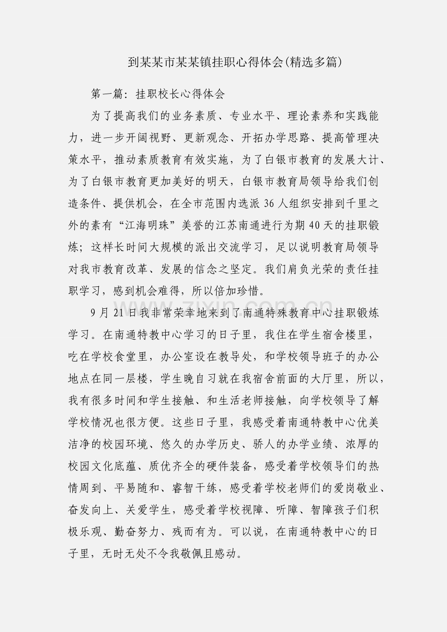 到某某市某某镇挂职心得体会(多篇).docx_第1页