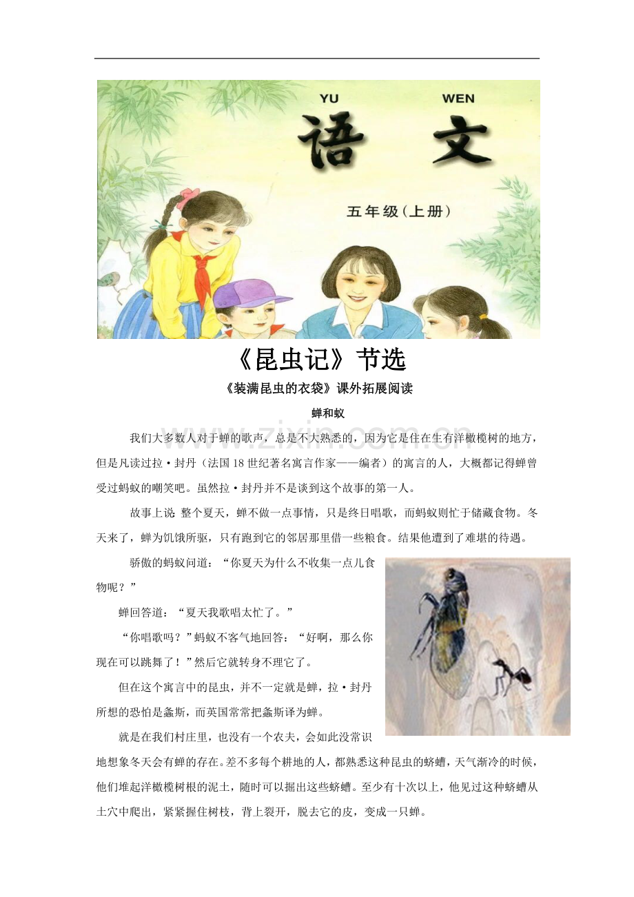 【素材】《装满昆虫的衣袋》拓展阅读《昆虫记》节选(苏教).docx_第1页