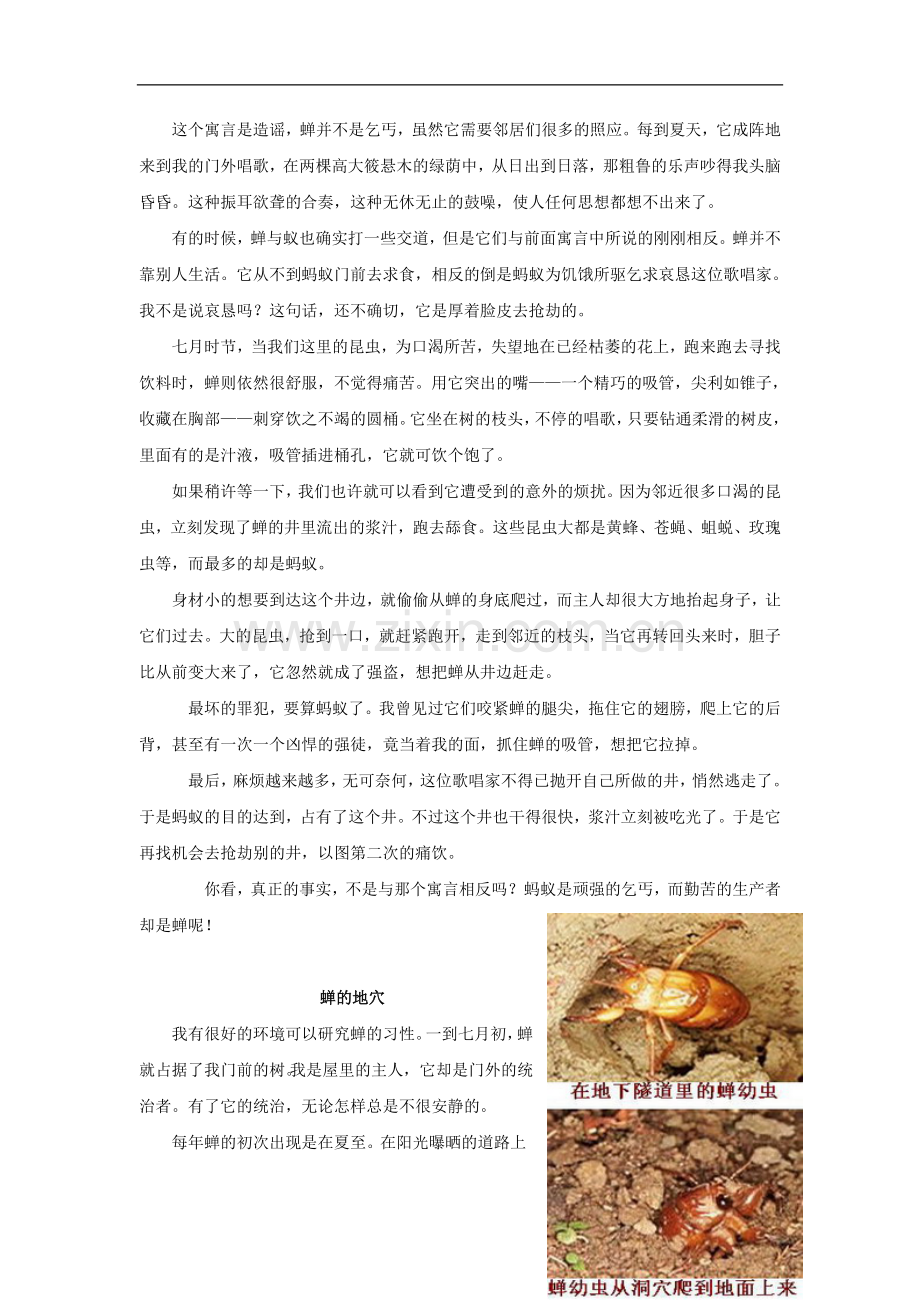 【素材】《装满昆虫的衣袋》拓展阅读《昆虫记》节选(苏教).docx_第2页