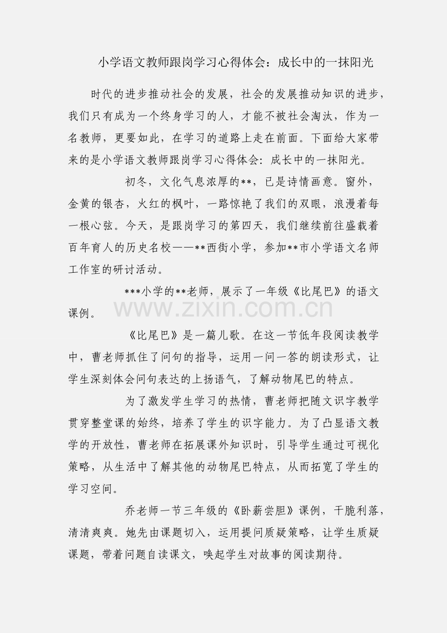 小学语文教师跟岗学习心得体会：成长中的一抹阳光.docx_第1页