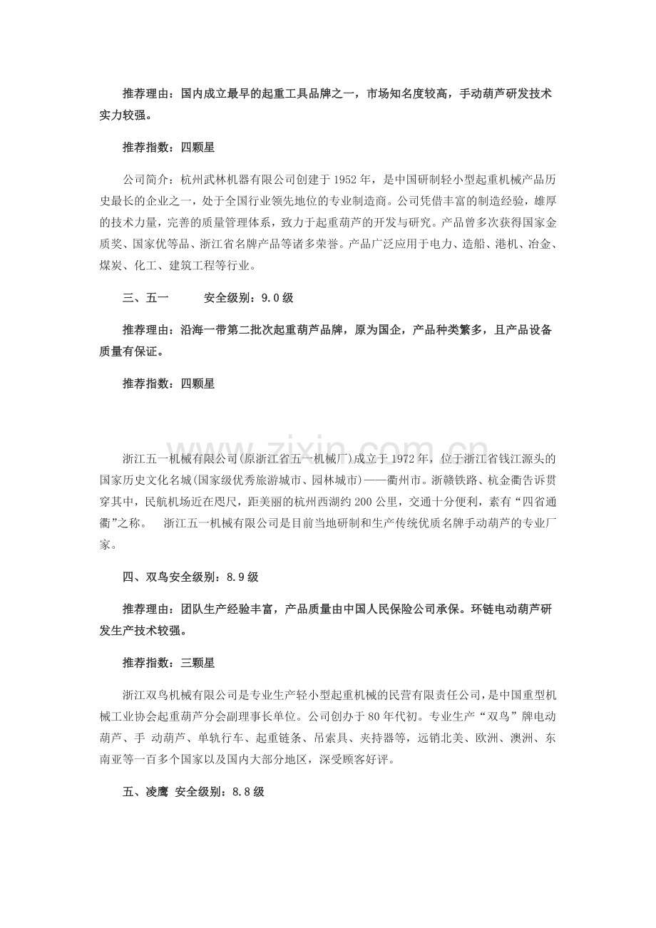 评选国内手动葫芦品质,十大品牌企业介绍.docx_第2页