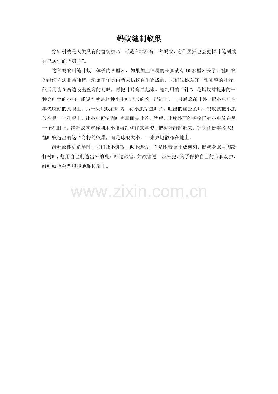 《书本里的蚂蚁》拓展阅读-《蚂蚁缝制蚁巢》.doc_第1页