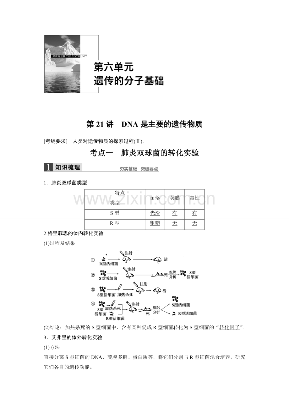 第21讲-DNA是主要的遗传物质.doc_第1页