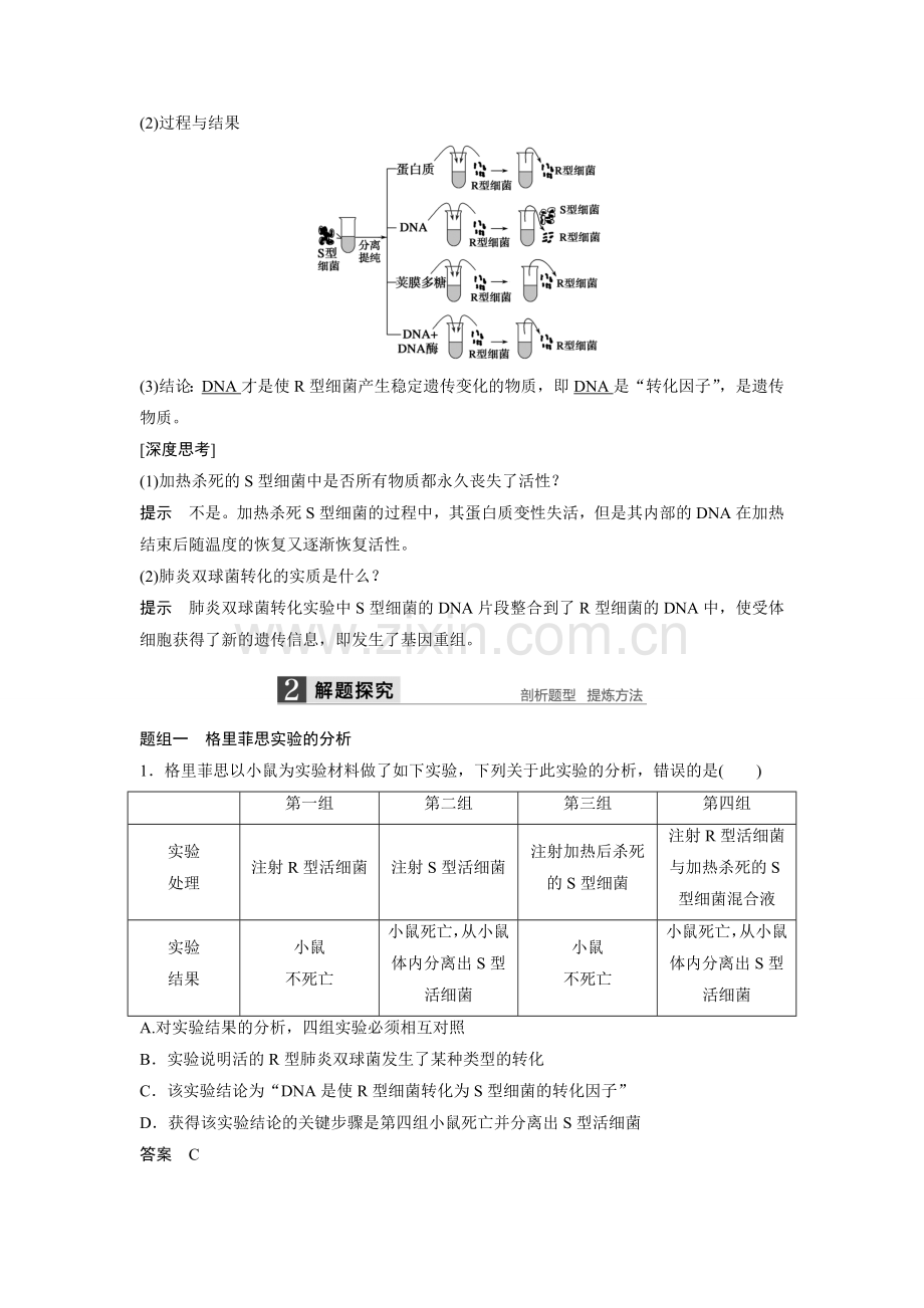 第21讲-DNA是主要的遗传物质.doc_第2页