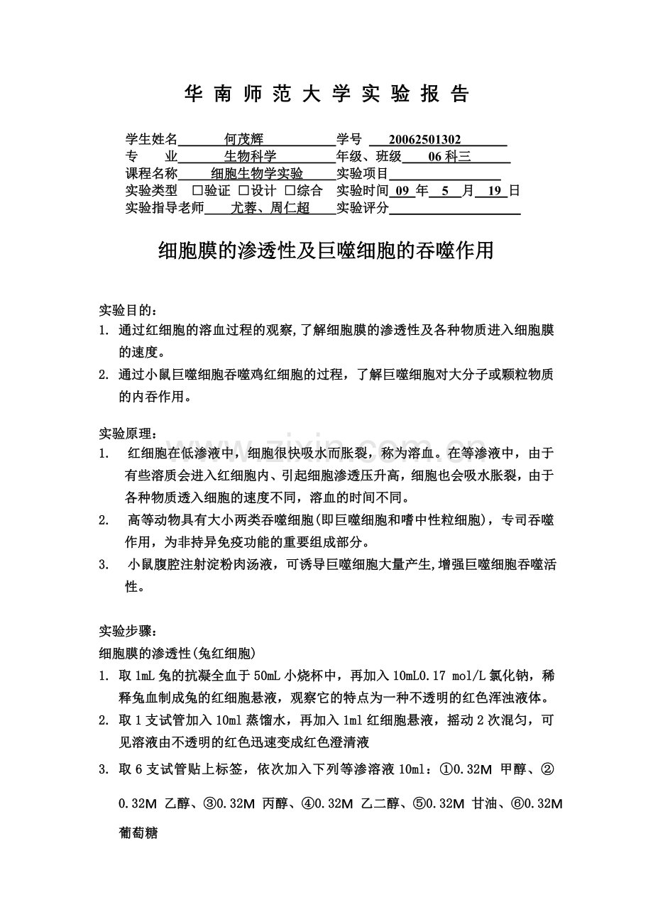 细胞膜的渗透性及巨噬细胞的吞噬作用.doc_第1页