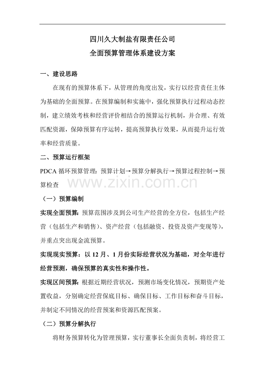 全面预算管理体系建设方案.doc_第1页