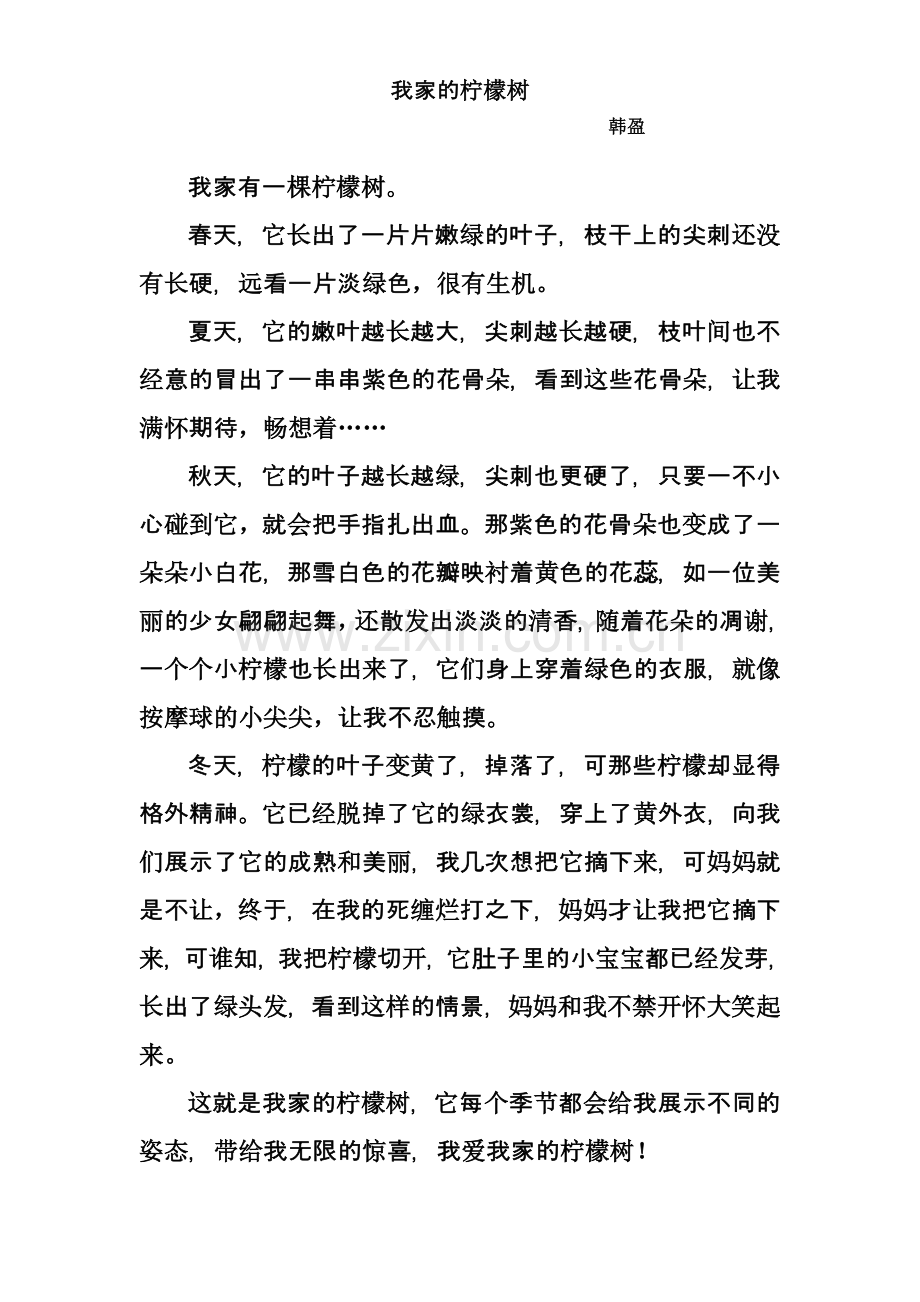 我家的柠檬树.docx_第1页