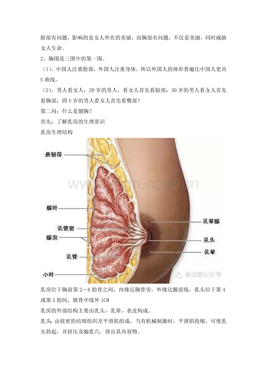 胸部健康知识.doc_第2页