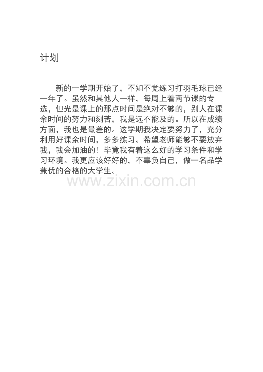 羽毛球训练计划.docx_第2页