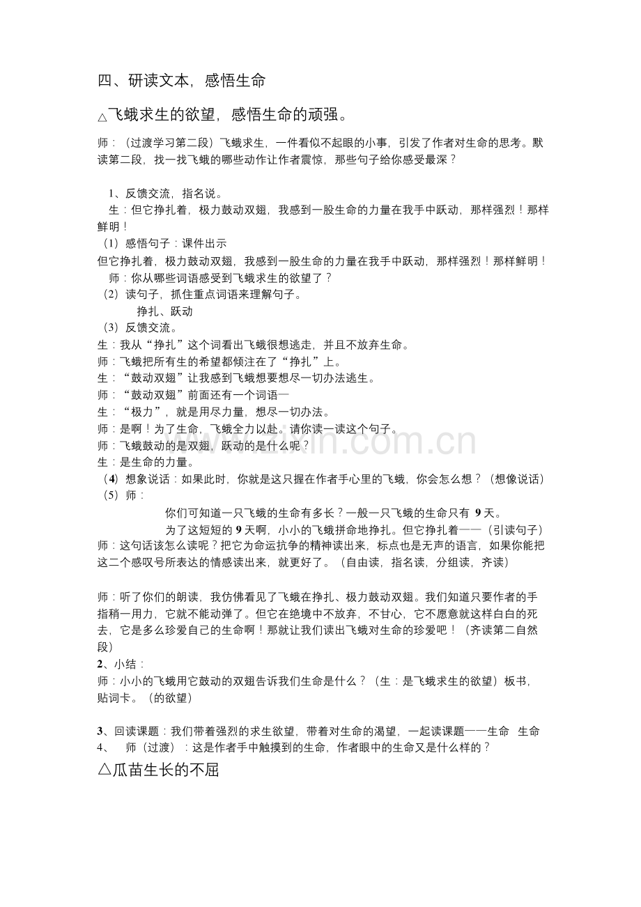 19--生命生命.docx_第2页