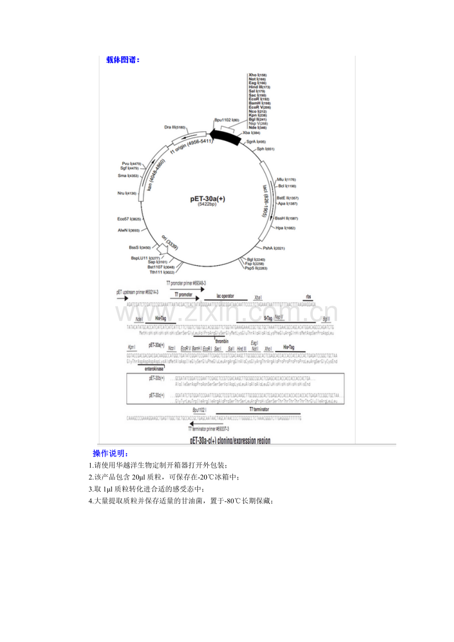 pET-30a大肠杆菌表达载体-质粒-菌株.docx_第2页