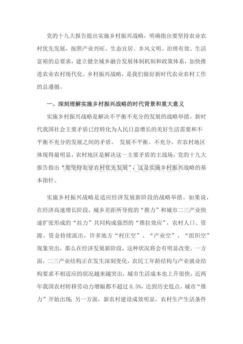 乡村振兴战略：新时代农业农村工作的总遵循.docx_第1页
