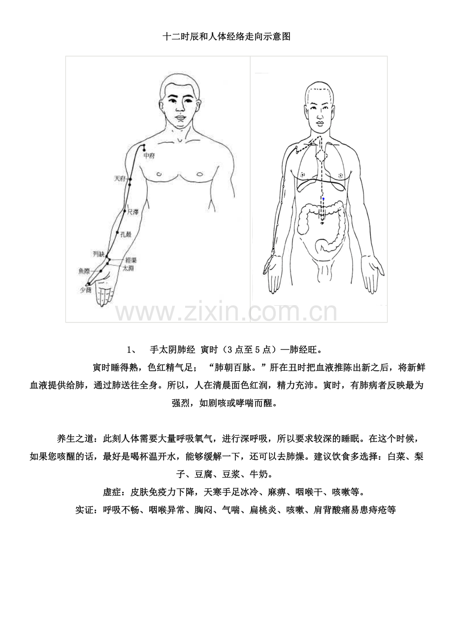 十二时辰和人体经络走向示意图.doc_第1页