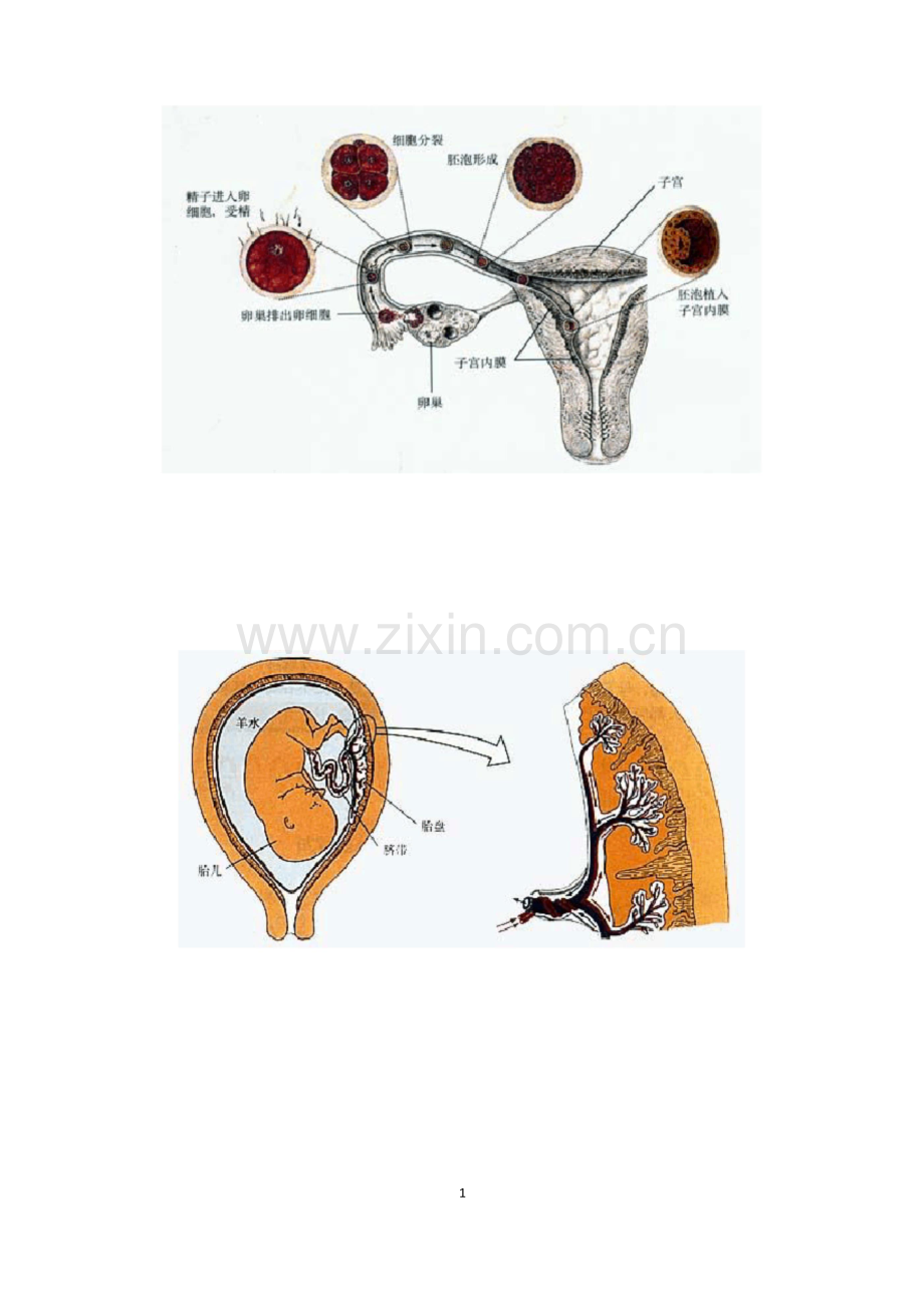 人教版七年级生物下册：生物学知识示意图.docx_第1页