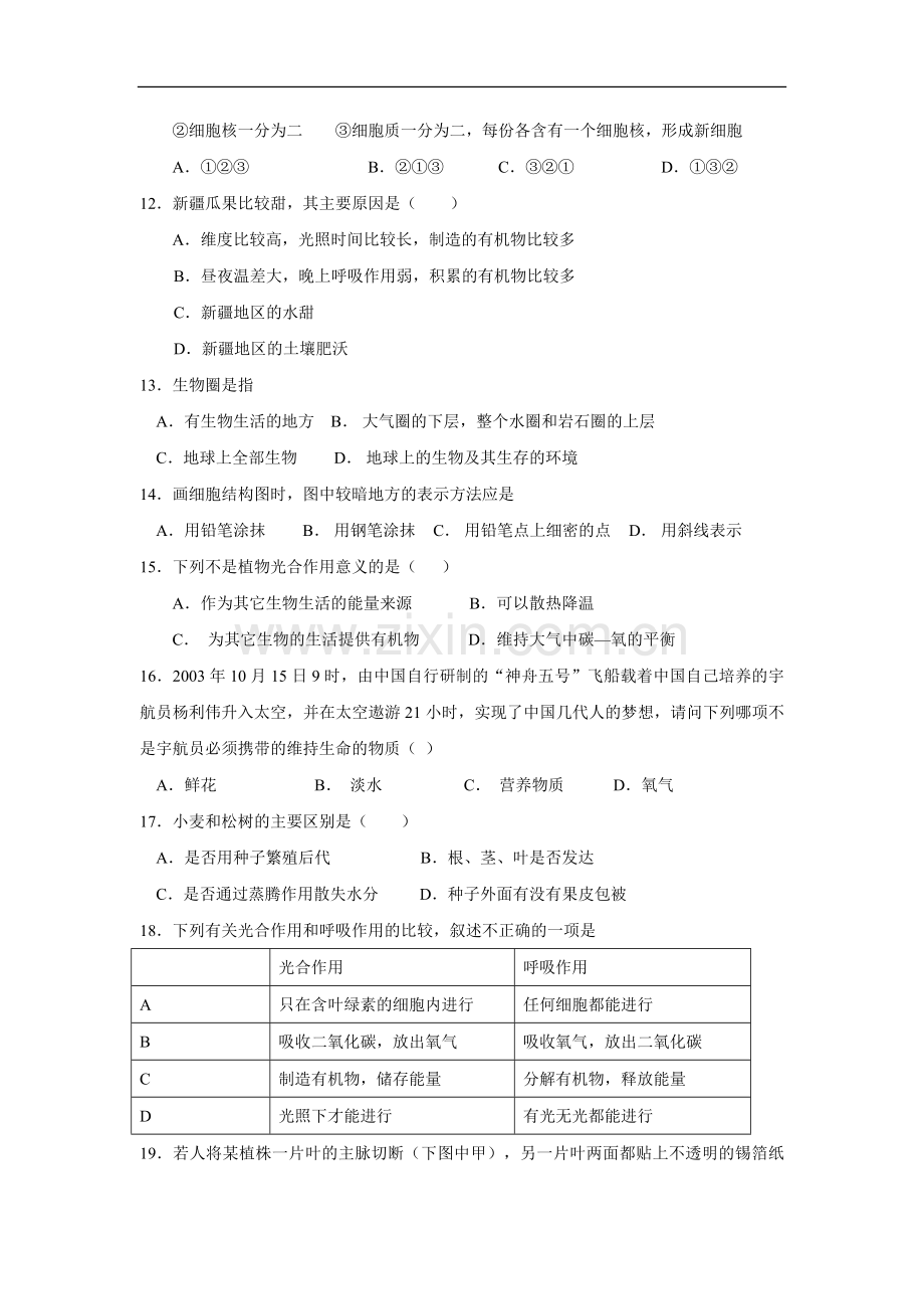 七年级苏教版生物上学期期中考试测试试卷及答案.doc_第2页