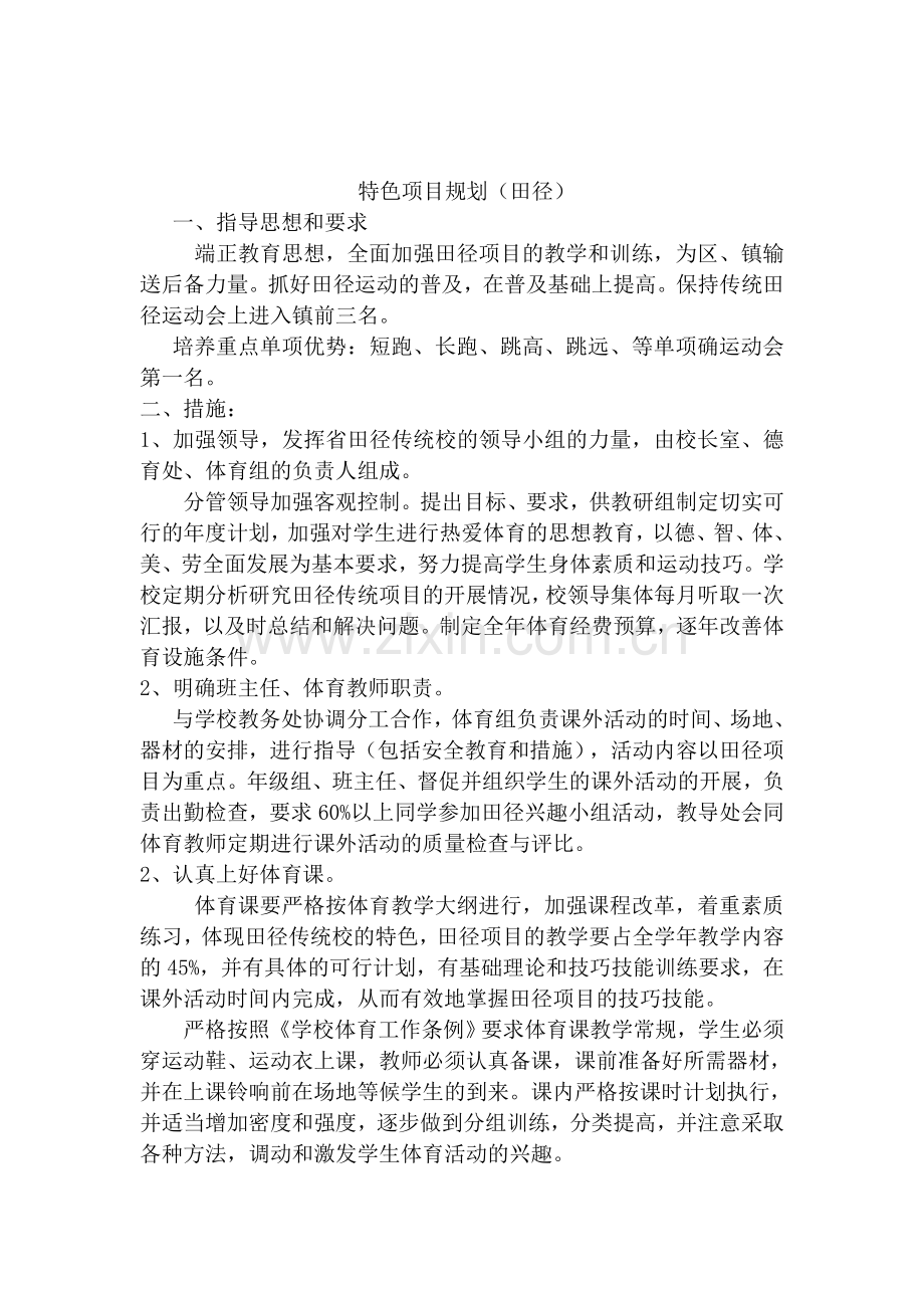 特色项目规划.doc_第1页
