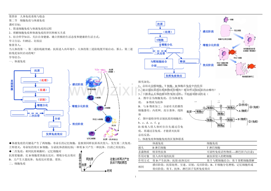体液免疫和细胞免疫.doc_第1页