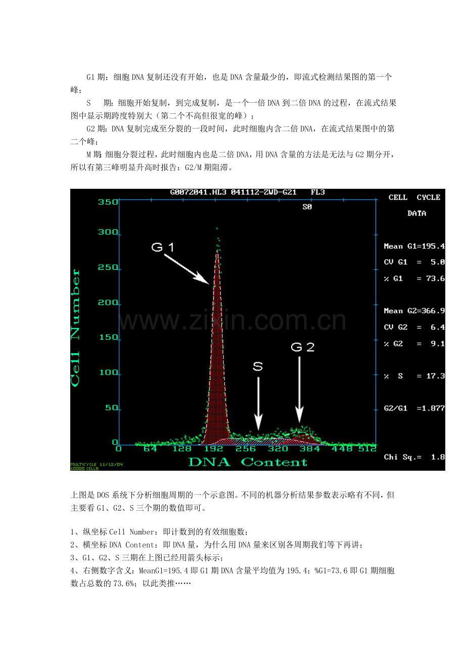 细胞周期分析原理和分析结果解释.doc_第2页