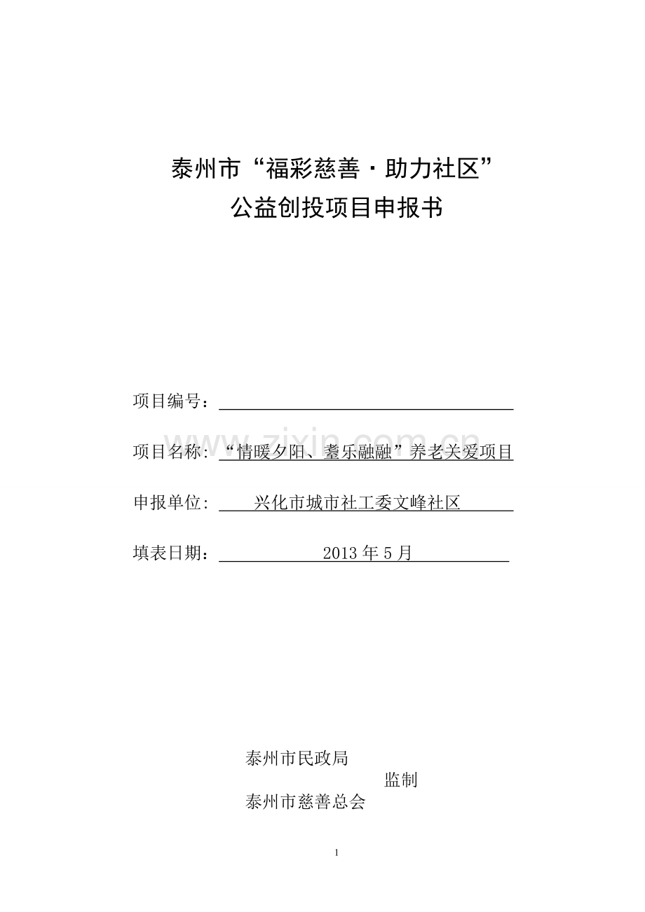 公益创投项目申报书.doc_第1页