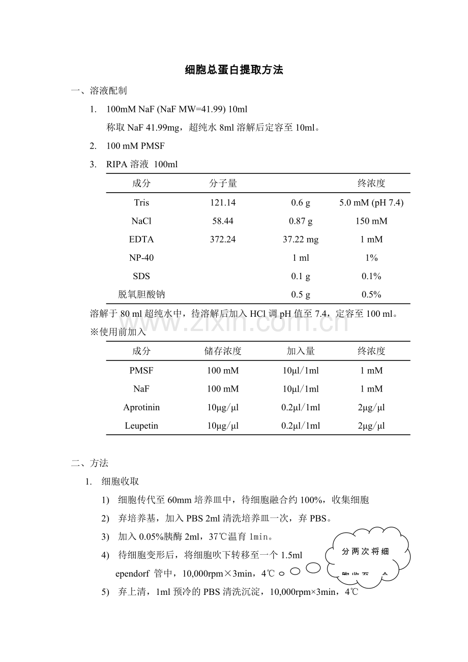 细胞总蛋白提取方法.doc_第1页
