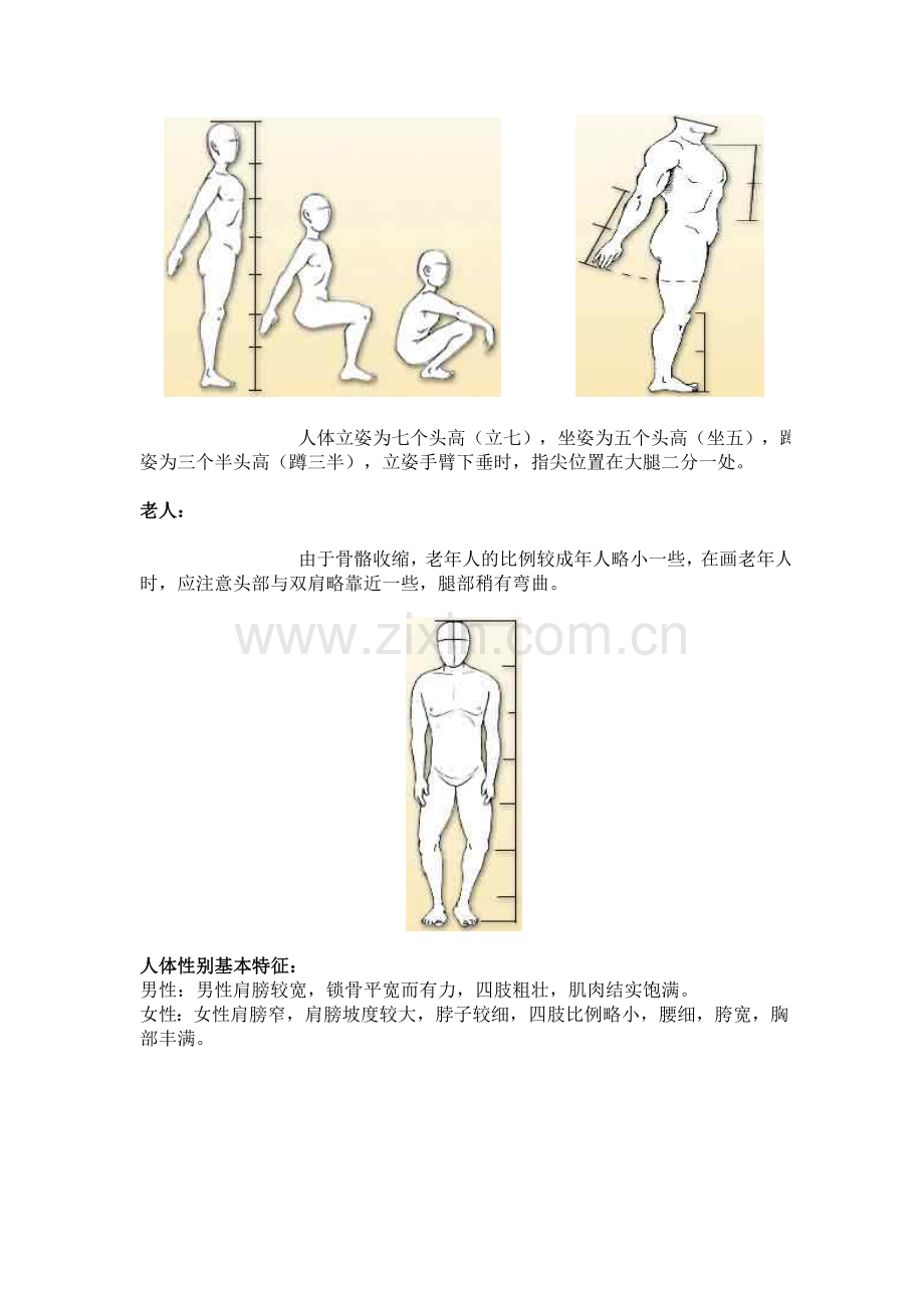 人体结构的把握和透视原理.doc_第2页