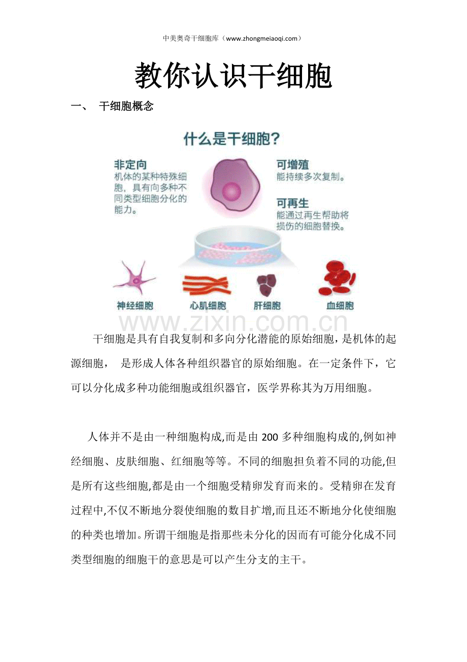 教你认识干细胞.docx_第1页