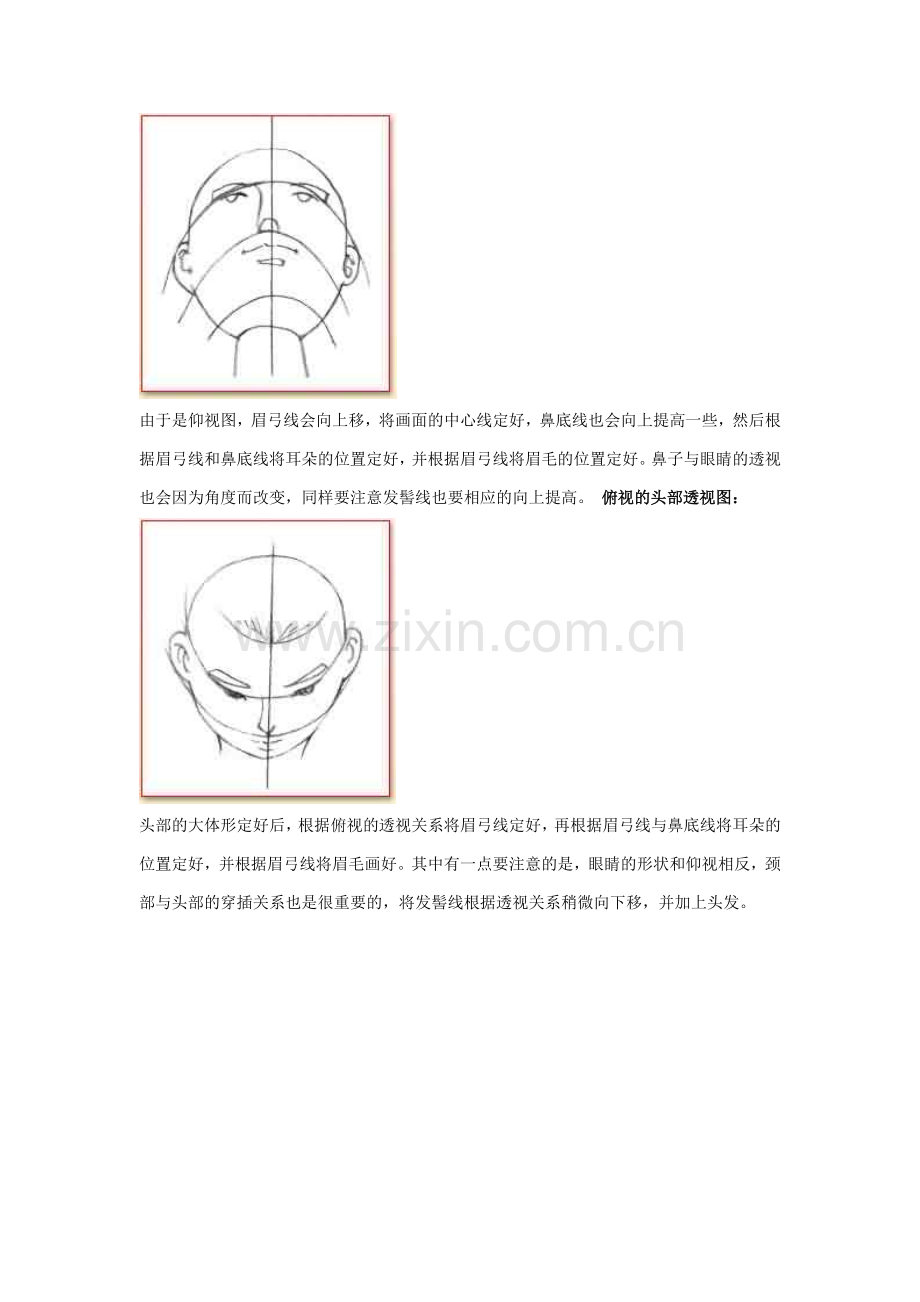 漫画人体结构.doc_第2页