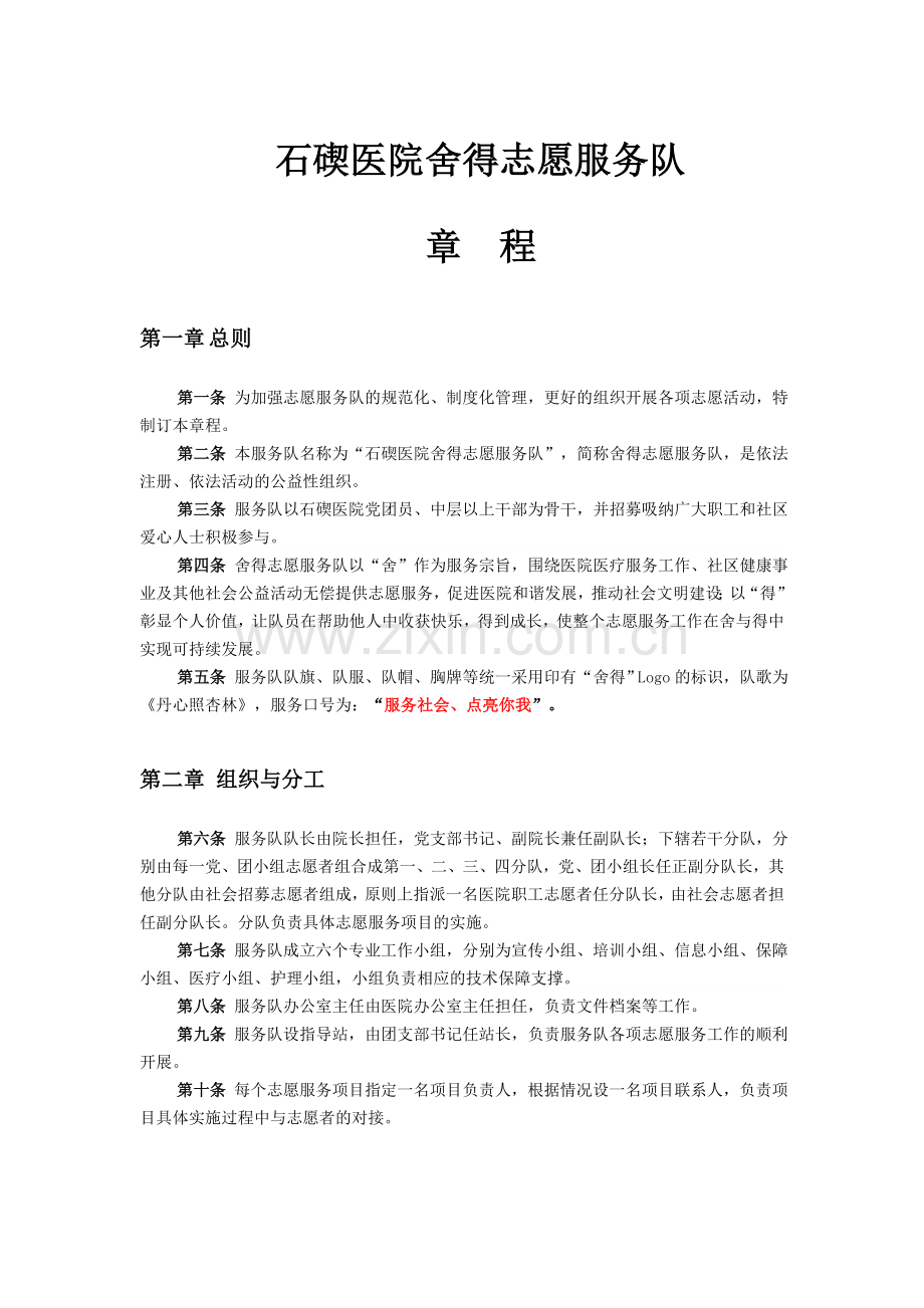 医院舍得志愿服务队章程.docx_第1页