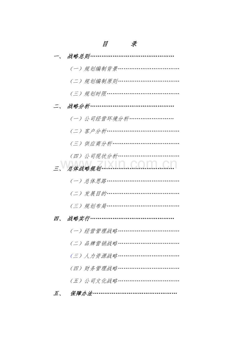 公司发展战略规划方案.doc_第2页