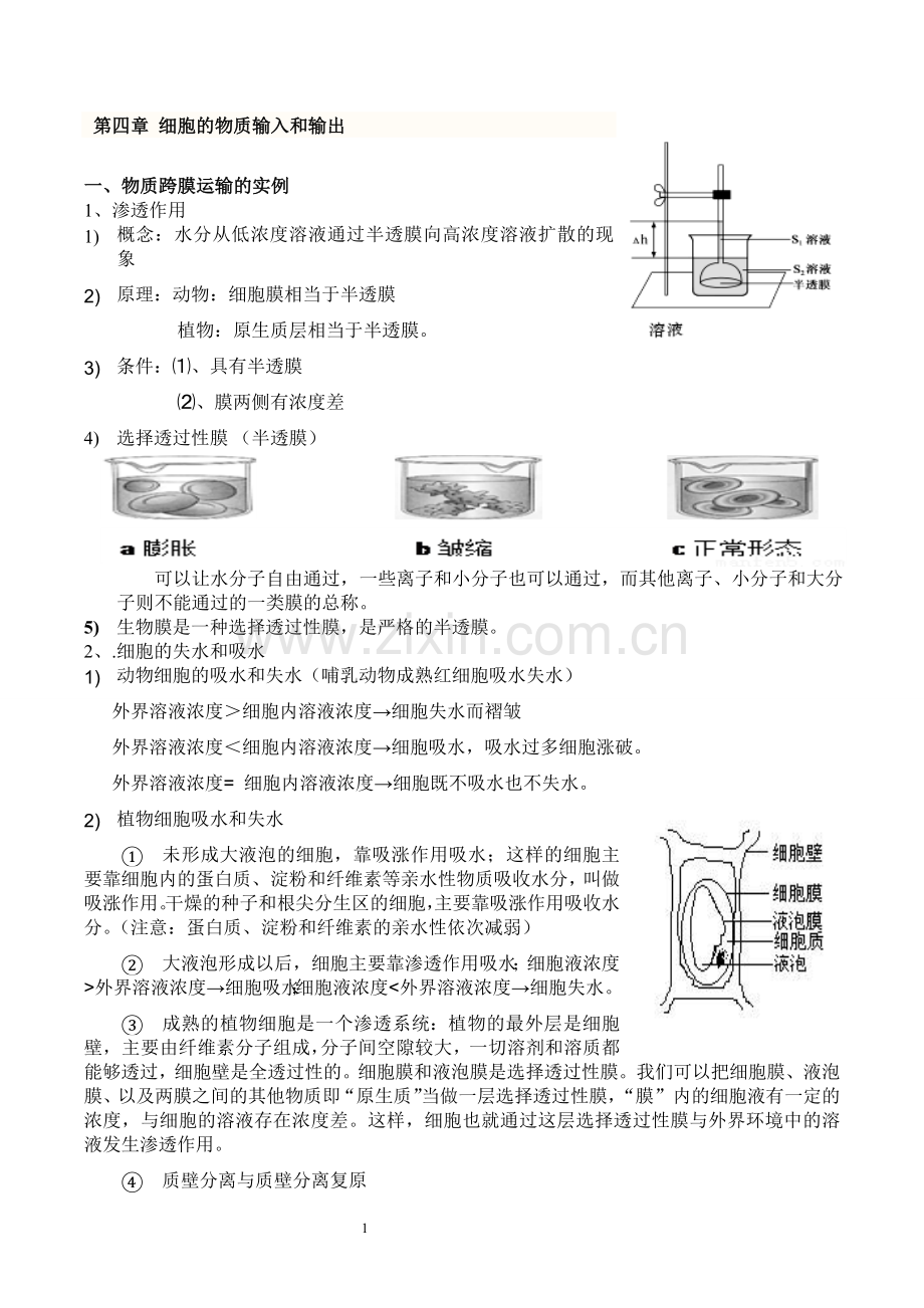 必修1-细胞的物质输入和输出知识点详解(1).doc_第1页