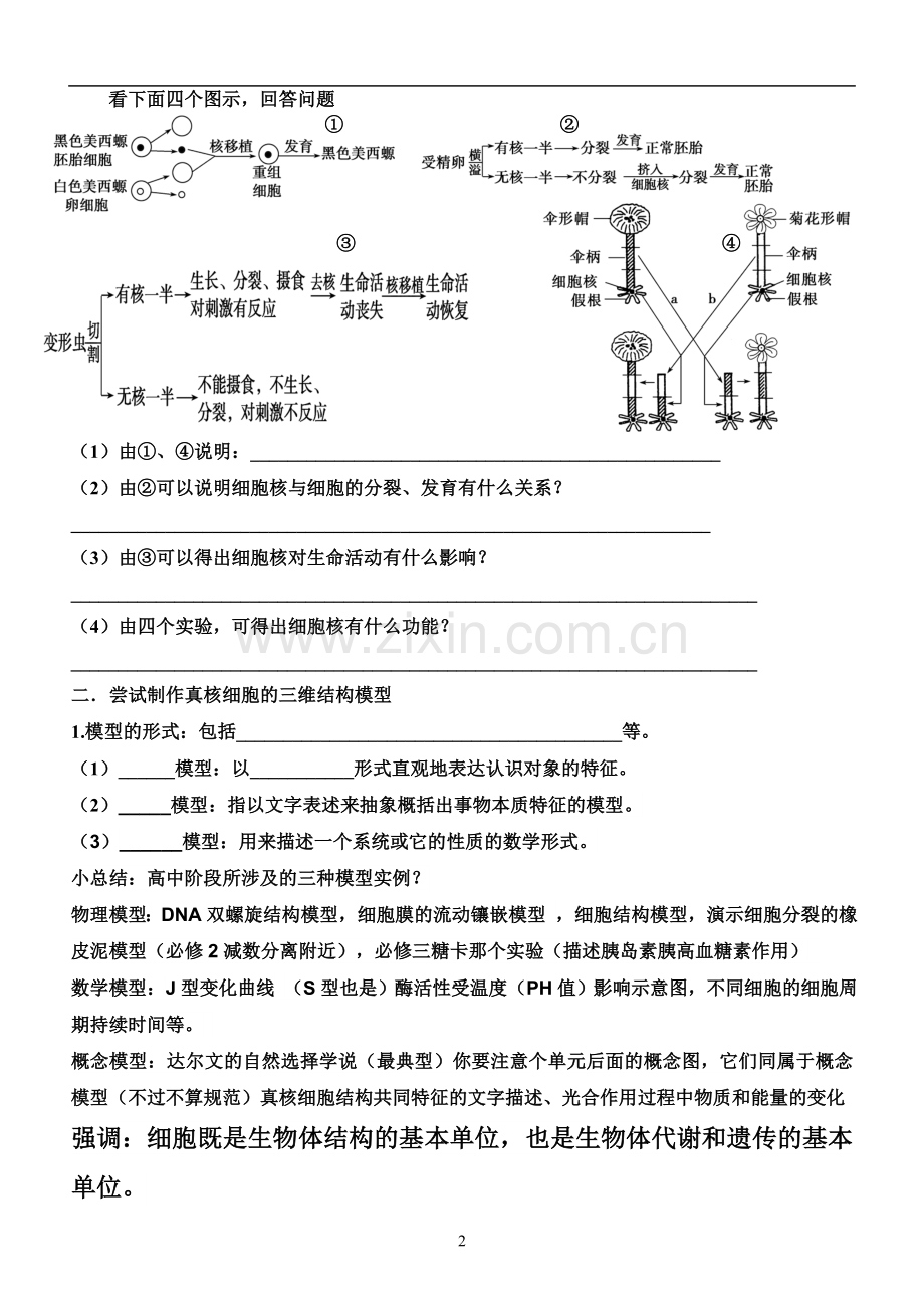 细胞核的结构和功能学案.doc_第2页