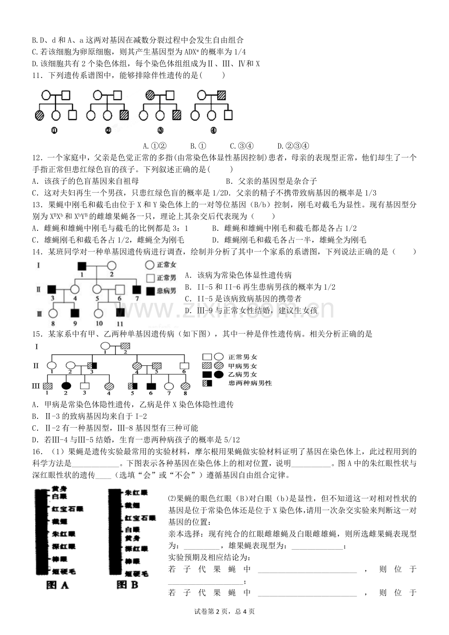 高考一轮复习--伴性遗传专题练习(含答案).doc_第2页