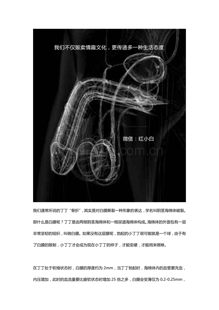 你知道吗？丁丁也会“骨折”.doc_第2页
