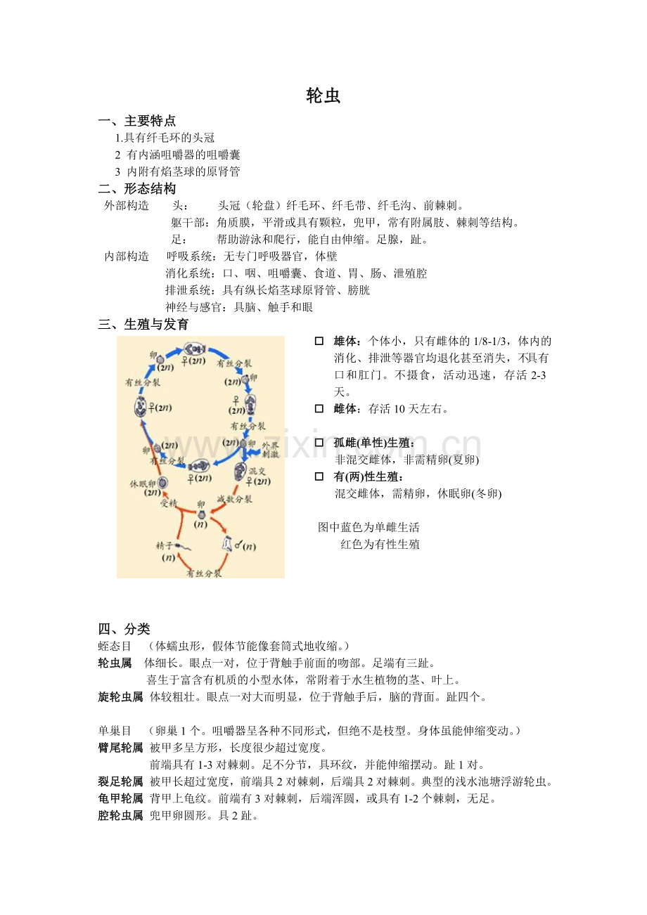 轮虫-枝角类-桡足类.doc_第1页