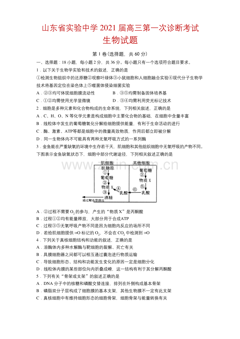 2021届山东省实验中学高三第一次诊断考试(10月)生物试题.docx_第1页