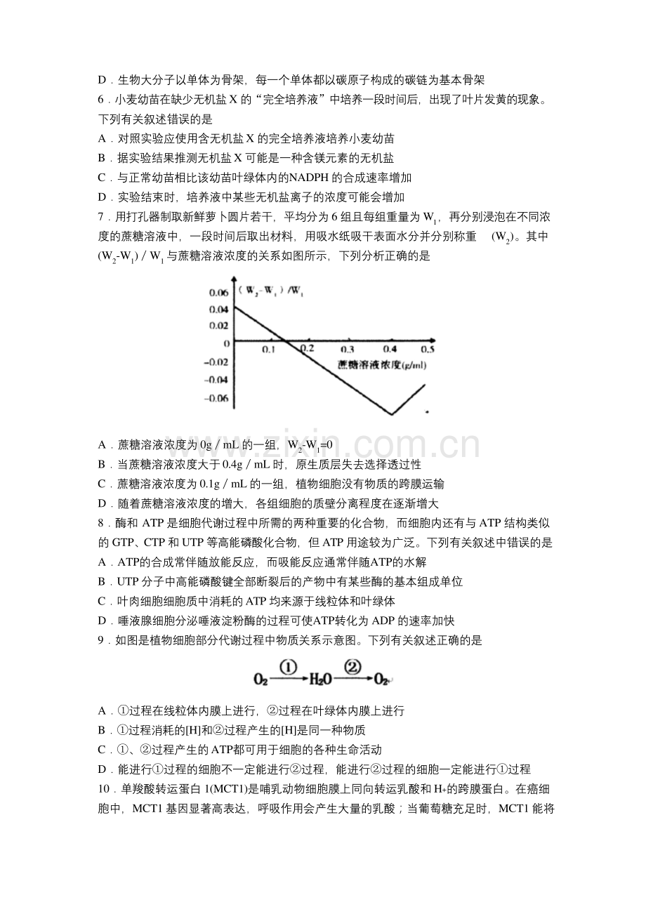2021届山东省实验中学高三第一次诊断考试(10月)生物试题.docx_第2页
