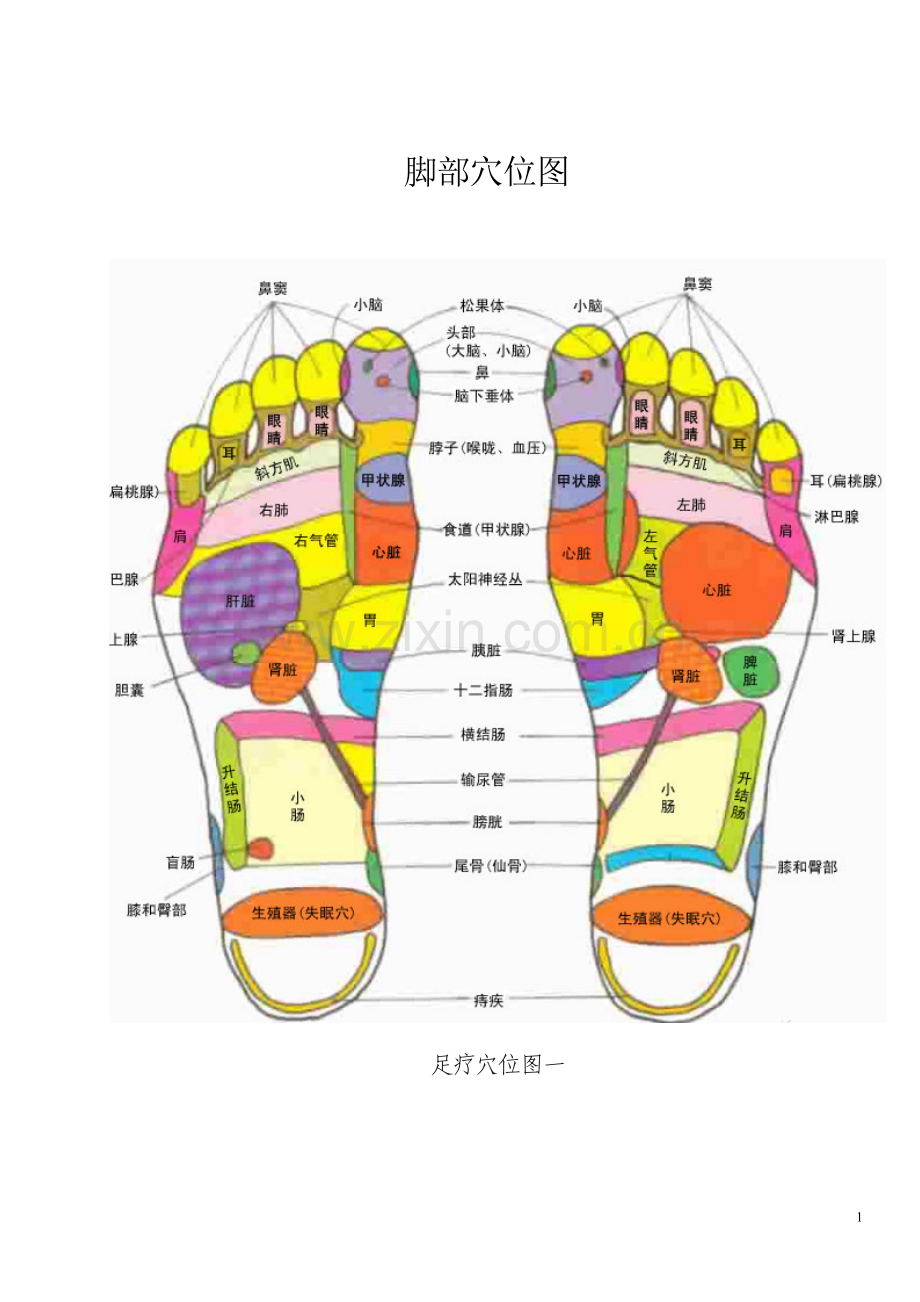 脚部穴位图全面(图文).doc_第1页
