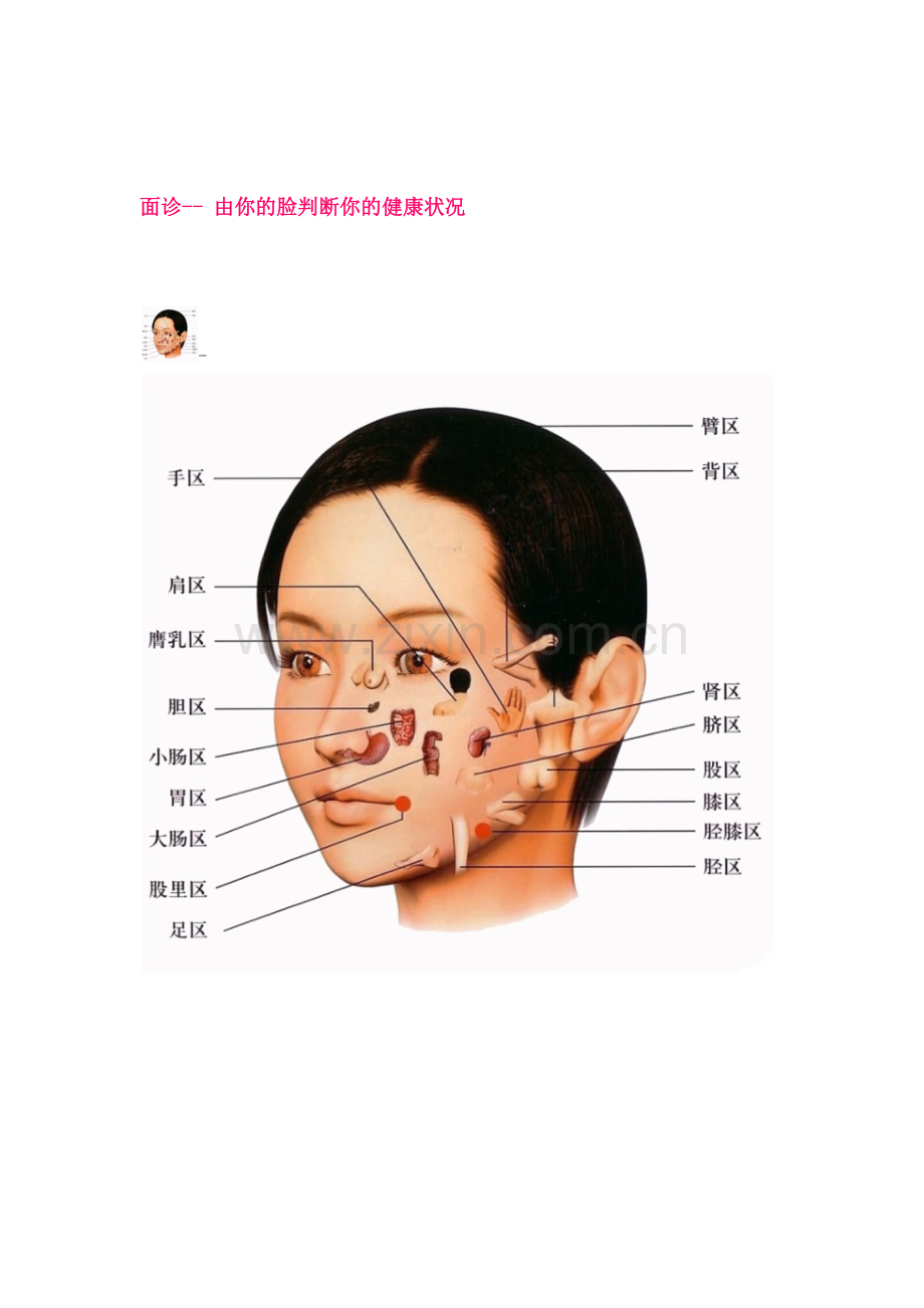 面诊探秘.docx_第1页