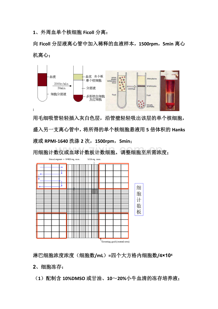 单个核细胞分离-冻存及复苏.doc_第1页