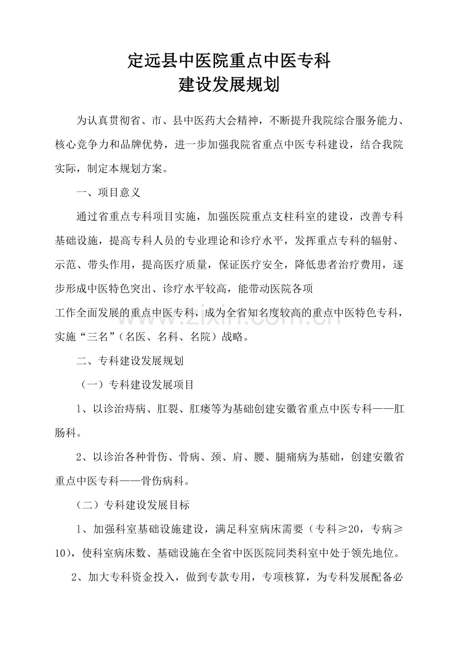 中医院重点中医专科建设发展规划.doc_第1页