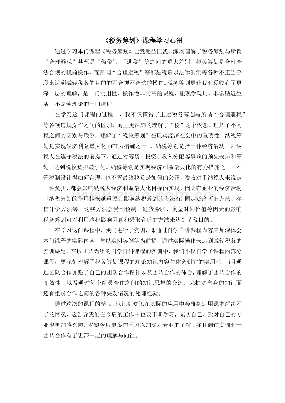 税务筹划心得.docx_第2页