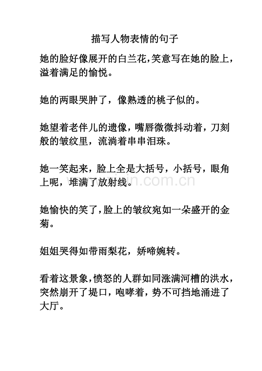 描写人物表情的句子.doc_第1页
