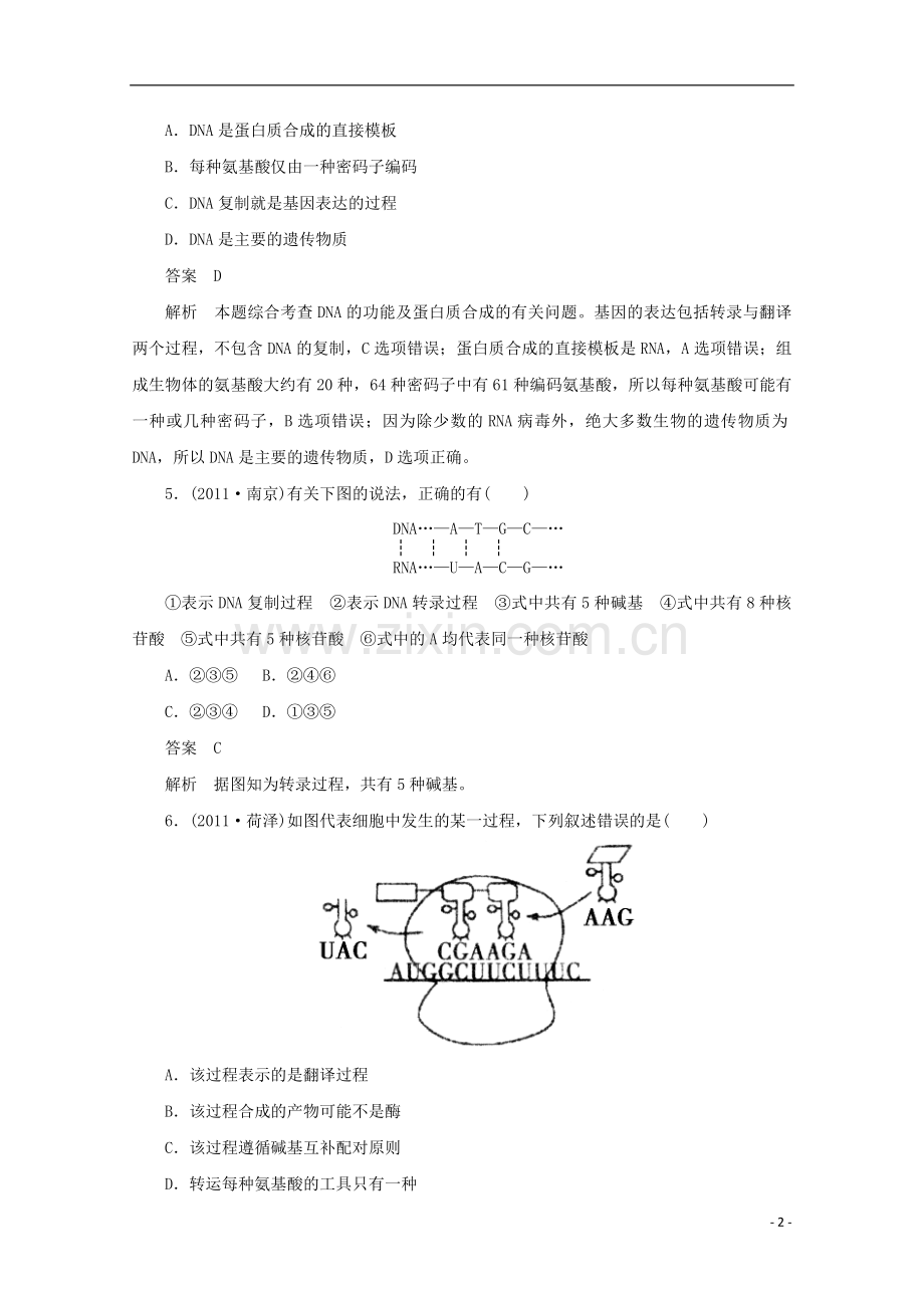高中生物-2-3-3基因的表达同步测试-新人教版必修2.doc_第2页