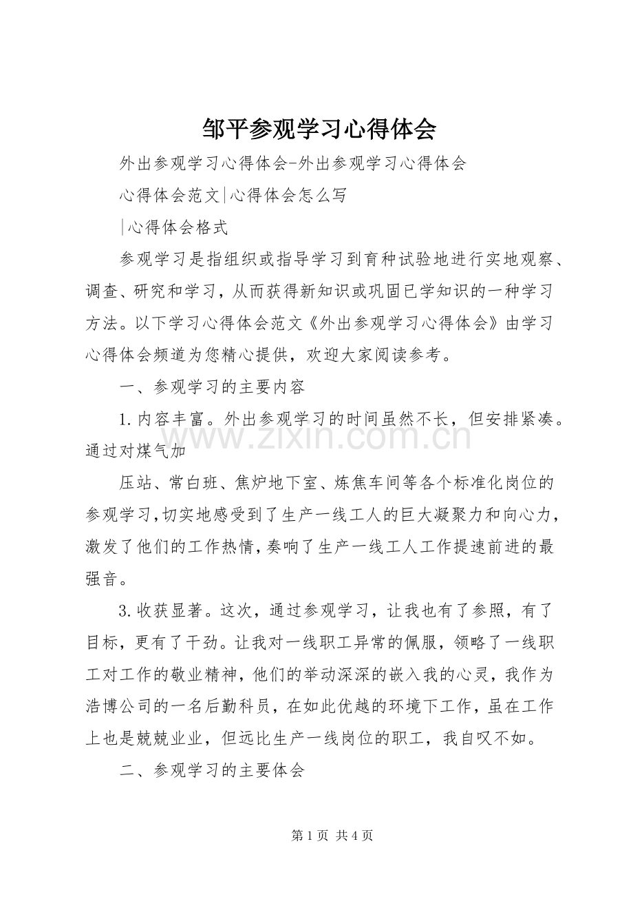 邹平参观学习体会心得.docx_第1页