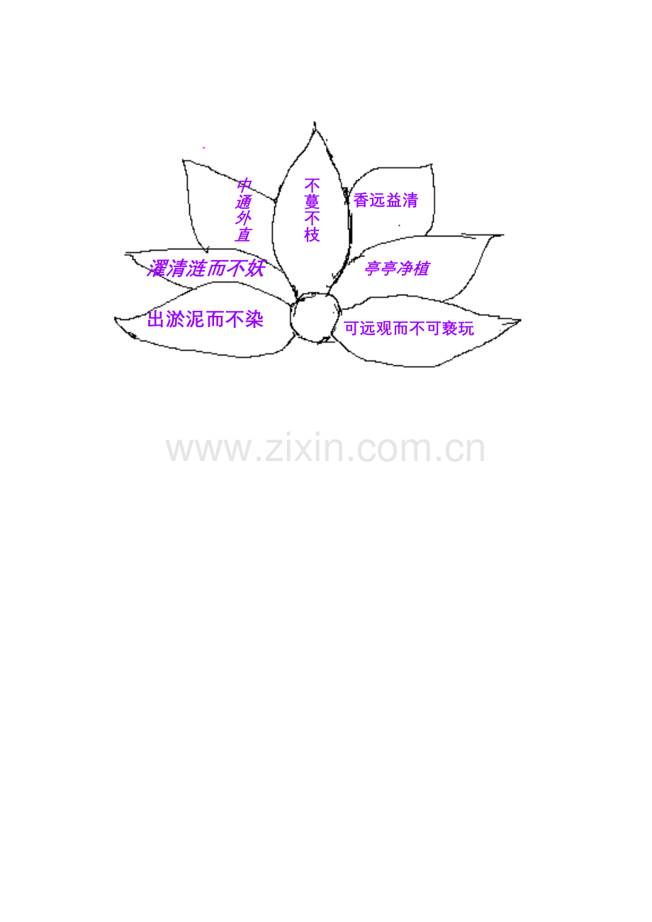 荷花思维导图.doc_第1页