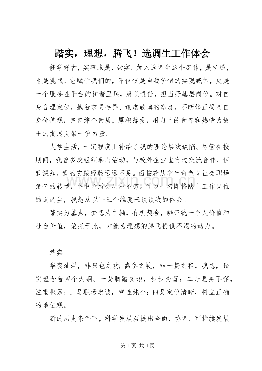 踏实理想腾飞！选调生工作体会.docx_第1页