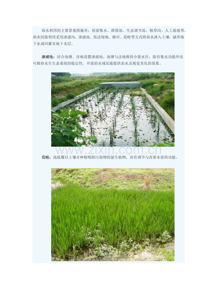 海绵城市的经典案例-当雨水流过城市.docx_第2页