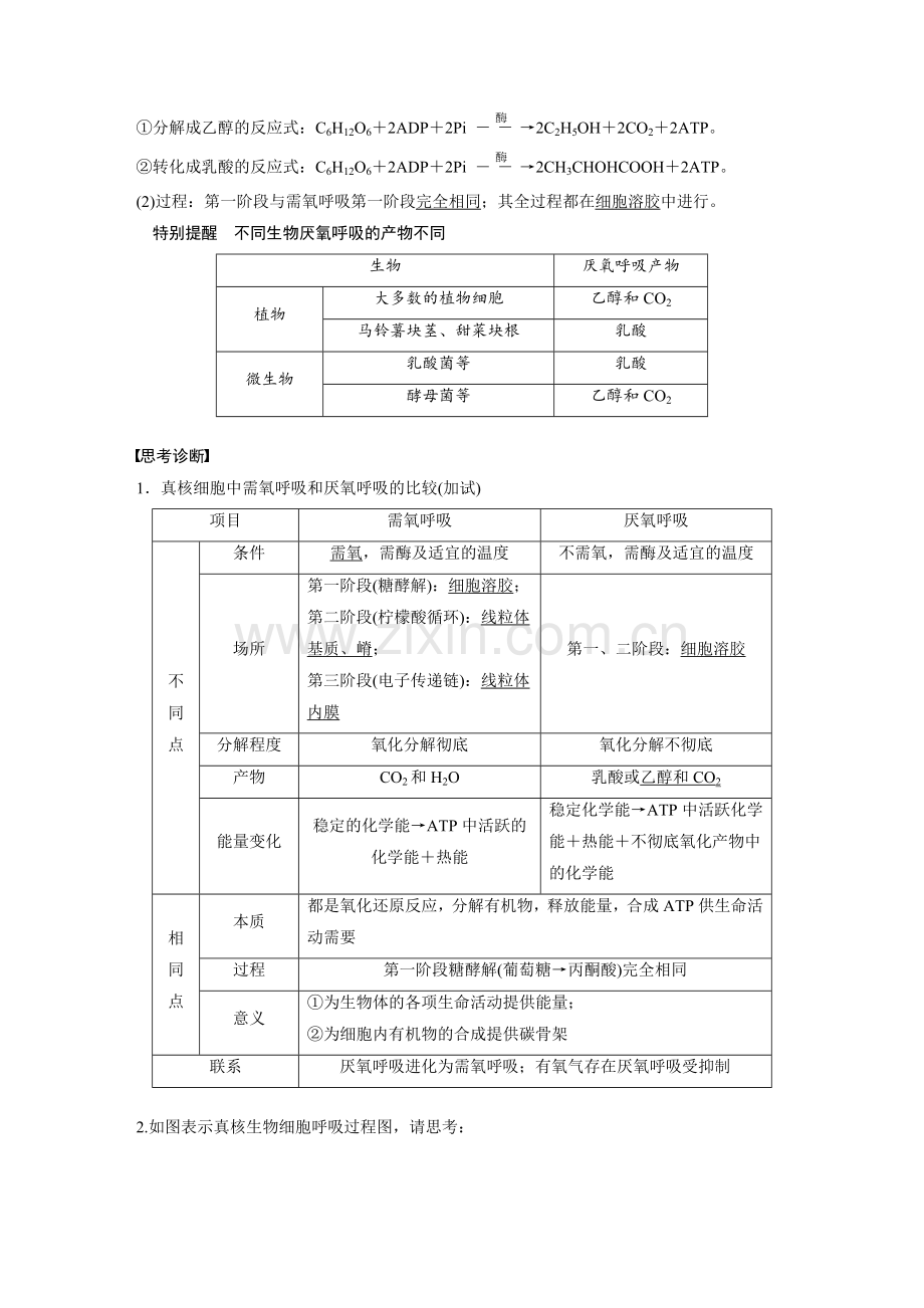 第2单元--第8讲-细胞呼吸.docx_第2页