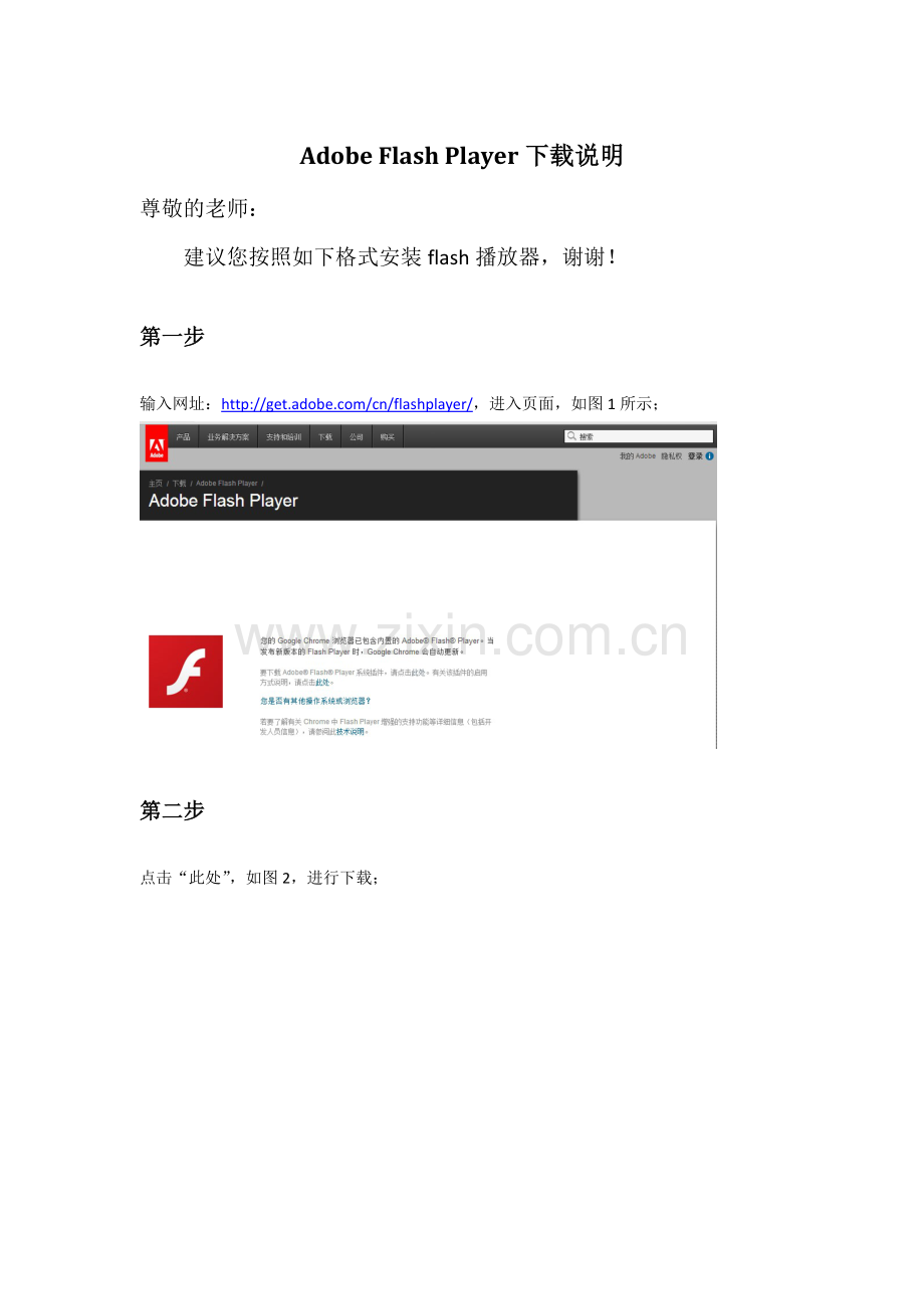 AdobeFlashPlayer.doc_第1页